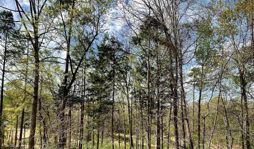 Photo #2 of 2409 Falling Leaf, Rock Hill, SC