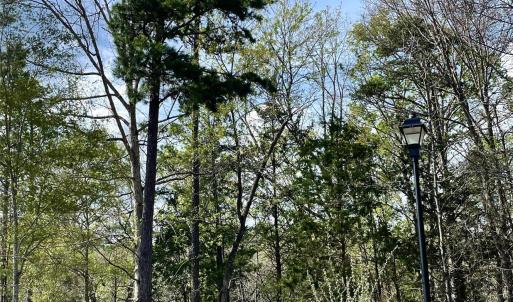 Photo #3 of 2409 Falling Leaf, Rock Hill, SC