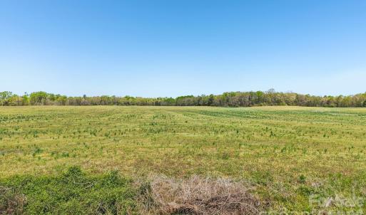 Photo #5 of Stegall, Peachland, NC