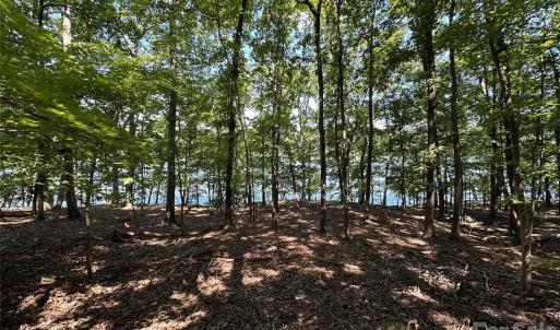 Photo #6 of 1768 Rocky Cove, Denton, NC