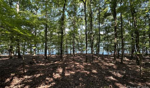 Photo #5 of 1768 Rocky Cove, Denton, NC