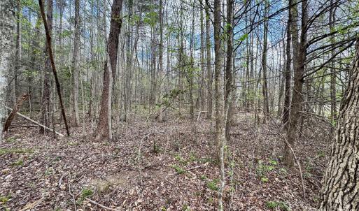 Photo #14 of 101 Autumn Leaves, Marietta, SC