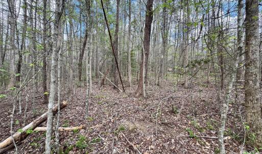 Photo #15 of 101 Autumn Leaves, Marietta, SC