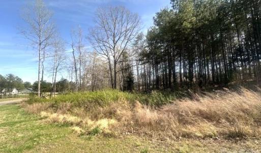 Photo #4 of 315 Grassy Ridge, Clover, SC