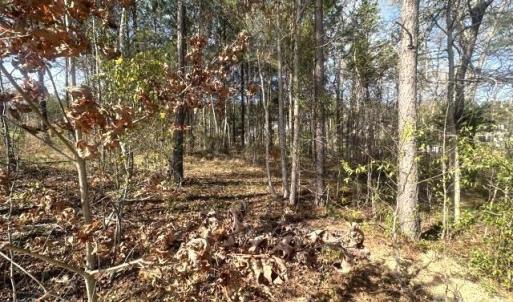 Photo #10 of 315 Grassy Ridge, Clover, SC