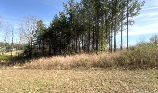 Photo #3 of 315 Grassy Ridge, Clover, SC