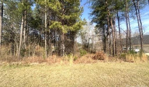 Photo #7 of 315 Grassy Ridge, Clover, SC