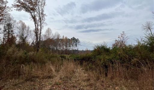 Photo #2 of TBD Wire 2, Cheraw, SC