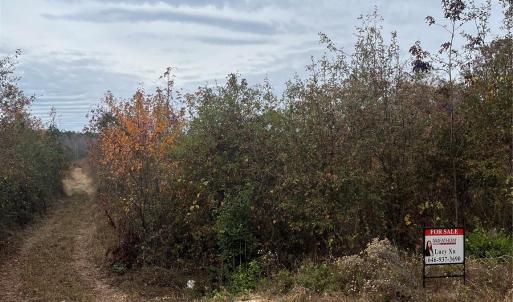 Photo #4 of TBD Wire 2, Cheraw, SC