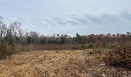 Photo #8 of TBD Wire 2, Cheraw, SC