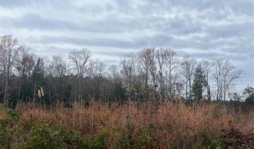 Photo #7 of TBD Wire 2, Cheraw, SC