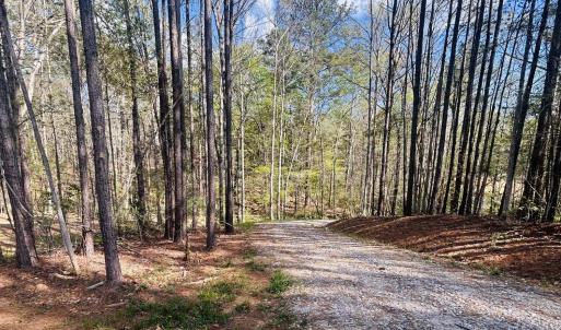 Photo #5 of Peden Bridge, Chester, SC