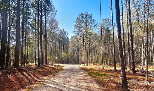 Photo #1 of Peden Bridge, Chester, SC