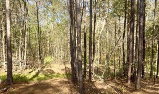 Photo #9 of Peden Bridge, Chester, SC