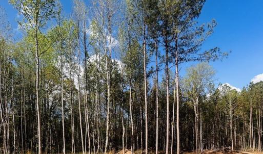 Photo #10 of Peden Bridge, Chester, SC