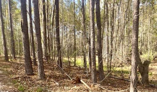 Photo #6 of Peden Bridge, Chester, SC