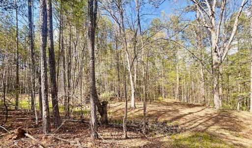 Photo #7 of Peden Bridge, Chester, SC