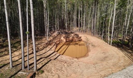 Photo #14 of Peden Bridge, Chester, SC