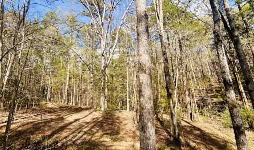 Photo #8 of Peden Bridge, Chester, SC