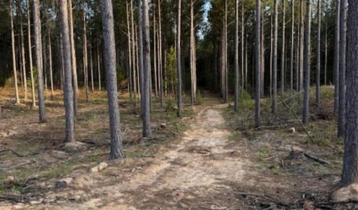 Photo #10 of Clark Mountain, Lilesville, NC