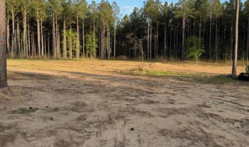 Photo #7 of Clark Mountain, Lilesville, NC