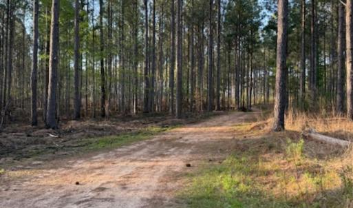 Photo #5 of Clark Mountain, Lilesville, NC