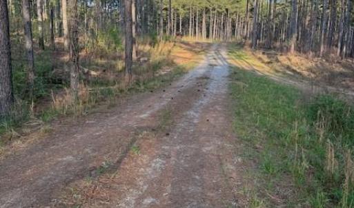 Photo #2 of Clark Mountain, Lilesville, NC