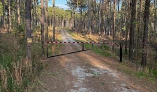 Photo #1 of Clark Mountain, Lilesville, NC