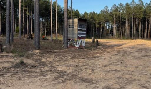 Photo #12 of Clark Mountain, Lilesville, NC