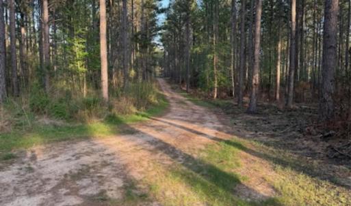 Photo #6 of Clark Mountain, Lilesville, NC