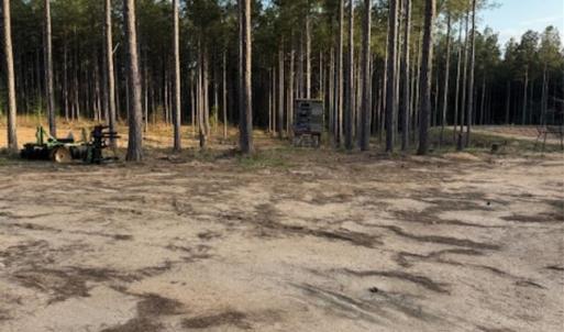 Photo #8 of Clark Mountain, Lilesville, NC