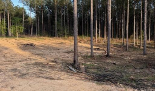 Photo #11 of Clark Mountain, Lilesville, NC