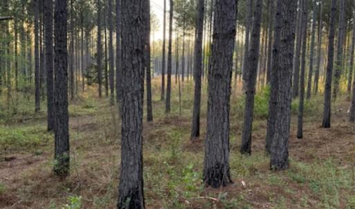 Photo #2 of Spencer Pointe, Lilesville, NC