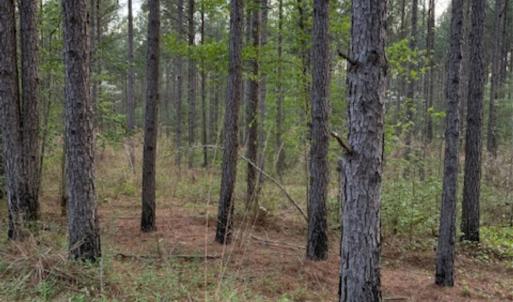 Photo #3 of Spencer Pointe, Lilesville, NC