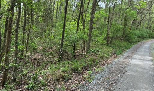 Photo #7 of Miller Pond, Rock Hill, SC