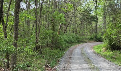 Photo #6 of Miller Pond, Rock Hill, SC