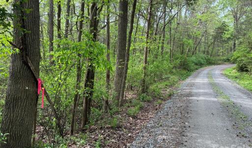 Photo #5 of Miller Pond, Rock Hill, SC
