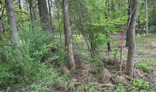 Photo #10 of 1 Miller Pond, Rock Hill, SC