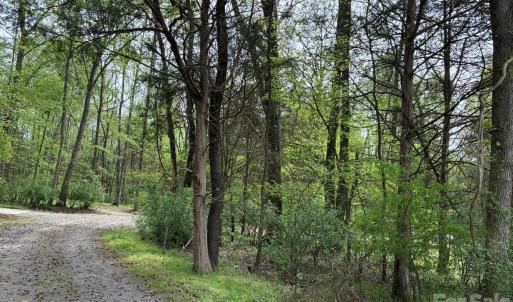 Photo #8 of 1 Miller Pond, Rock Hill, SC