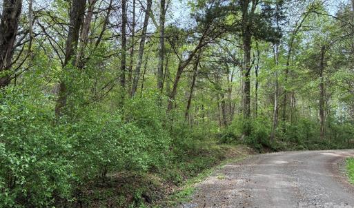 Photo #7 of 1 Miller Pond, Rock Hill, SC
