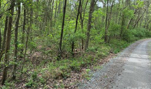 Photo #6 of 1 Miller Pond, Rock Hill, SC