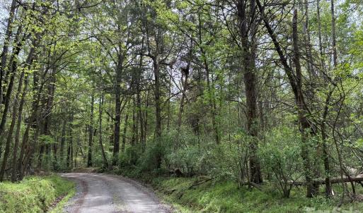 Photo #9 of 1 Miller Pond, Rock Hill, SC