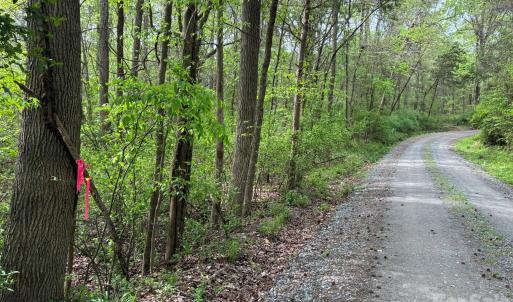 Photo #4 of 1 Miller Pond, Rock Hill, SC