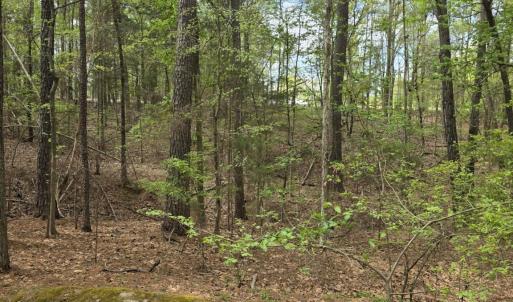 Photo #6 of 2093 Lometa, York, SC