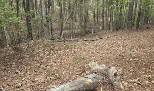 Photo #5 of 2093 Lometa, York, SC