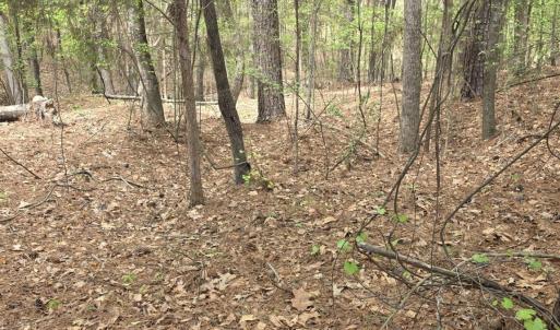 Photo #3 of 2093 Lometa, York, SC