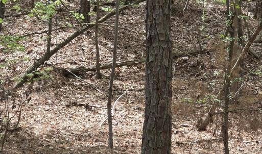 Photo #8 of 2093 Lometa, York, SC