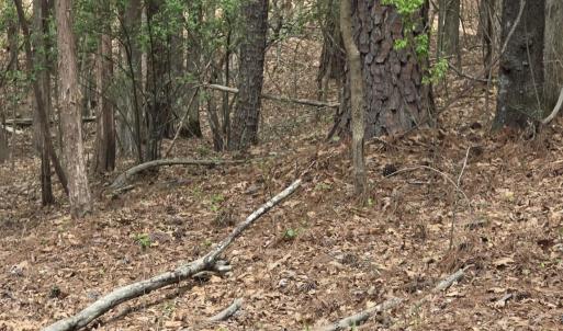 Photo #7 of 2093 Lometa, York, SC