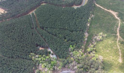 Photo #10 of TBD Spencer Pointe, Lilesville, NC