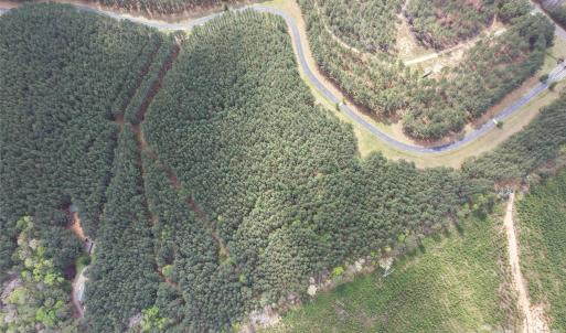 Photo #16 of TBD Spencer Pointe, Lilesville, NC